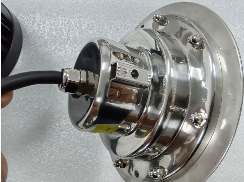 Đèn LED dưới nước 100lm/w DC24V Bền bỉ Chống nước cho Hồ bơi, Đài phun nước và Các yếu tố trang trí bằng nước